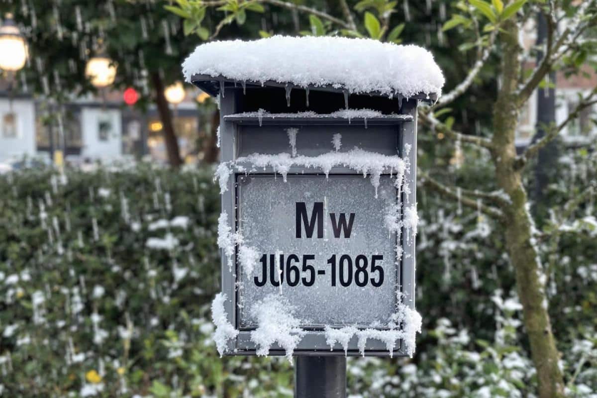 Combien de temps pour faire une carte grise ?
